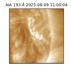 saia - 2025-08-09T11:00:04.843000