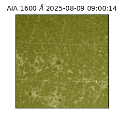 saia - 2025-08-09T09:00:14.133000