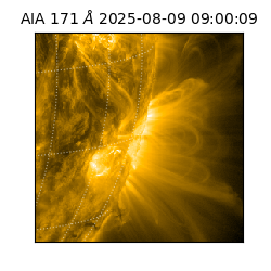 saia - 2025-08-09T09:00:09.350000