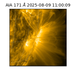 saia - 2025-08-09T11:00:09.350000