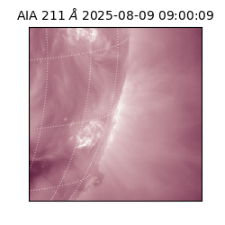 saia - 2025-08-09T09:00:09.630000