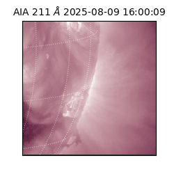 saia - 2025-08-09T16:00:09.626000