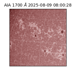 saia - 2025-08-09T08:00:28.718000