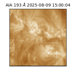 saia - 2025-08-09T15:00:04.843000
