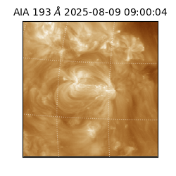 saia - 2025-08-09T09:00:04.843000