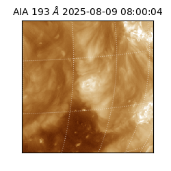 saia - 2025-08-09T08:00:04.843000