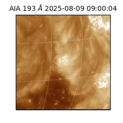 saia - 2025-08-09T09:00:04.843000