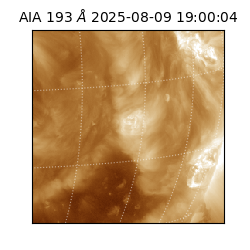 saia - 2025-08-09T19:00:04.843000