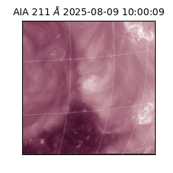 saia - 2025-08-09T10:00:09.630000