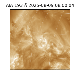saia - 2025-08-09T08:00:04.843000