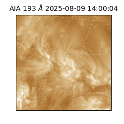 saia - 2025-08-09T14:00:04.843000