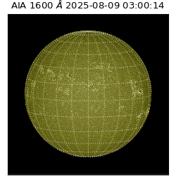 saia - 2025-08-09T03:00:14.117000