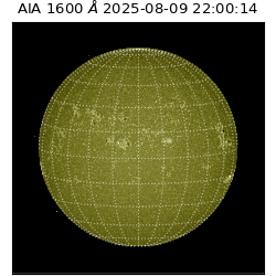 saia - 2025-08-09T22:00:14.125000