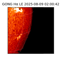 gong - 2025-08-09T02:00:42