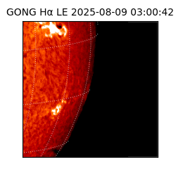 gong - 2025-08-09T03:00:42