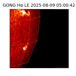 gong - 2025-08-09T05:00:42