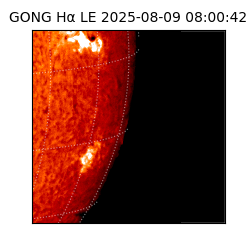 gong - 2025-08-09T08:00:42