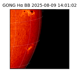 gong - 2025-08-09T14:01:02