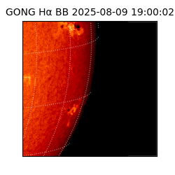 gong - 2025-08-09T19:00:02