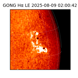 gong - 2025-08-09T02:00:42