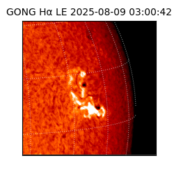 gong - 2025-08-09T03:00:42