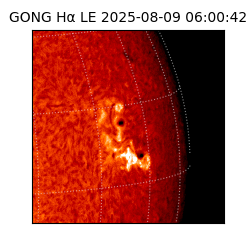 gong - 2025-08-09T06:00:42