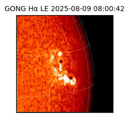 gong - 2025-08-09T08:00:42