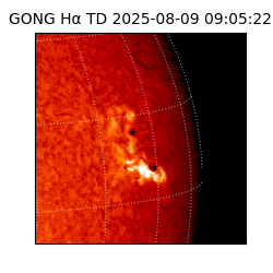 gong - 2025-08-09T09:05:22