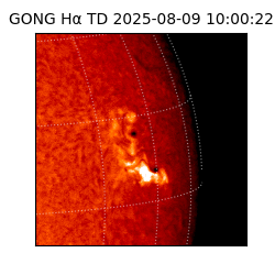 gong - 2025-08-09T10:00:22