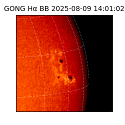 gong - 2025-08-09T14:01:02