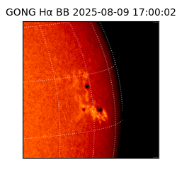 gong - 2025-08-09T17:00:02