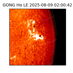 gong - 2025-08-09T02:00:42