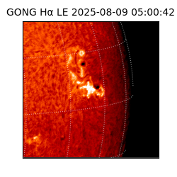 gong - 2025-08-09T05:00:42