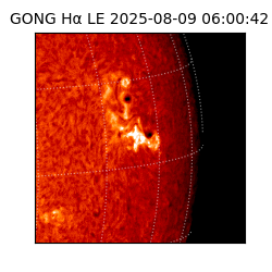 gong - 2025-08-09T06:00:42
