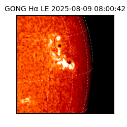 gong - 2025-08-09T08:00:42