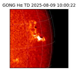 gong - 2025-08-09T10:00:22