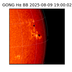 gong - 2025-08-09T19:00:02