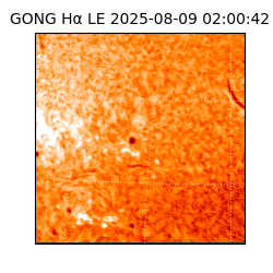 gong - 2025-08-09T02:00:42