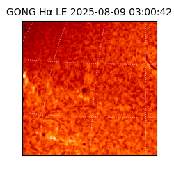 gong - 2025-08-09T03:00:42