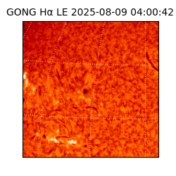 gong - 2025-08-09T04:00:42
