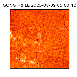 gong - 2025-08-09T05:00:42
