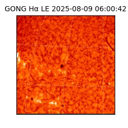 gong - 2025-08-09T06:00:42