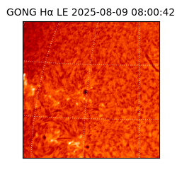 gong - 2025-08-09T08:00:42