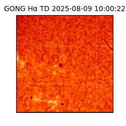 gong - 2025-08-09T10:00:22
