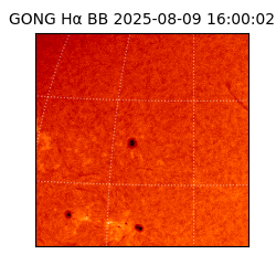 gong - 2025-08-09T16:00:02