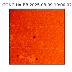 gong - 2025-08-09T19:00:02