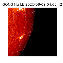 gong - 2025-08-09T04:00:42