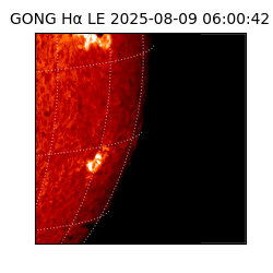 gong - 2025-08-09T06:00:42