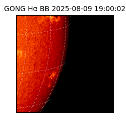 gong - 2025-08-09T19:00:02