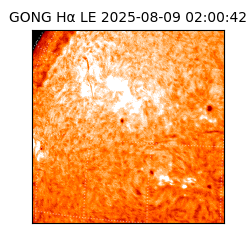 gong - 2025-08-09T02:00:42